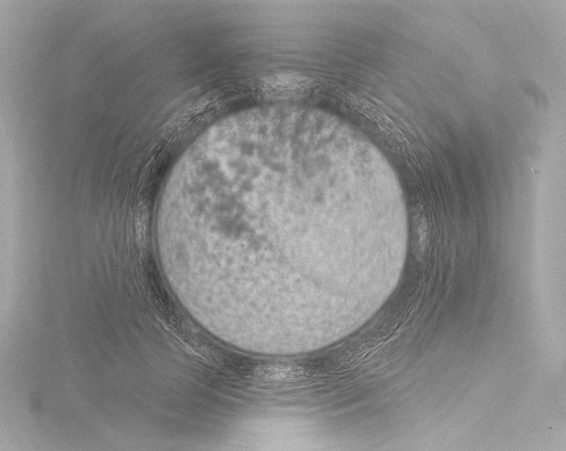 X0000115530745200912181526