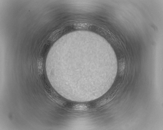 X0000115530749200912181526