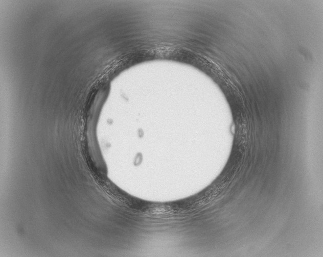 X0000115530750200912181526