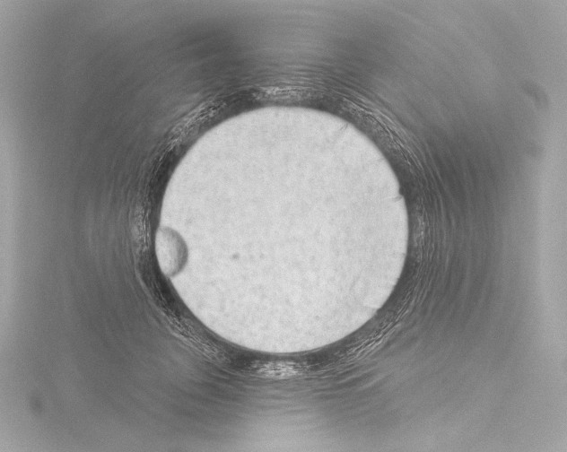 X0000115530751200912181526