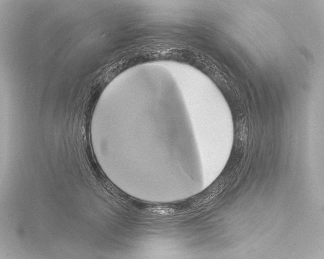 X0000115530754200912181526