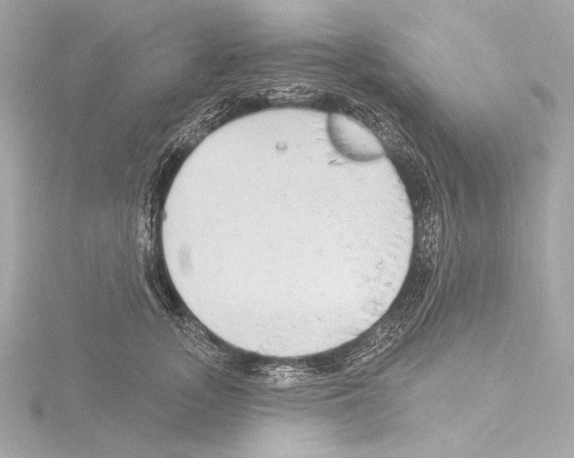 X0000115530755200912181527