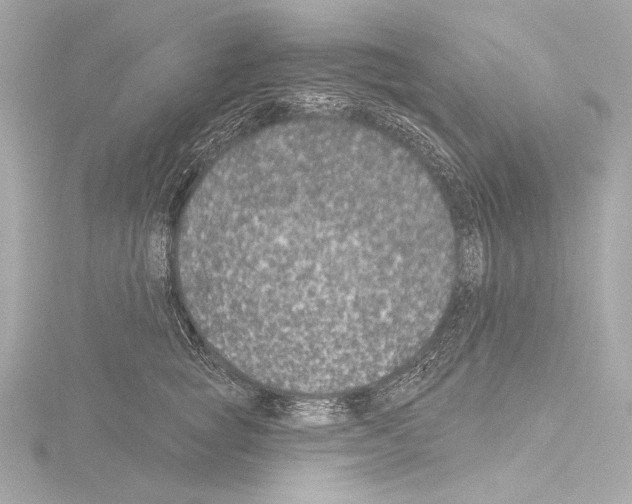 X0000115530757200912181527