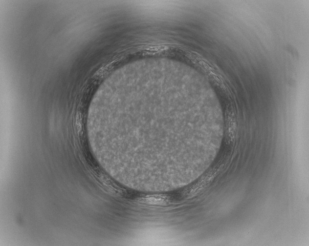 X0000115530758200912181527