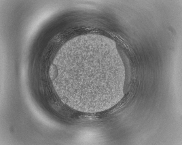 X0000115530763200912181527