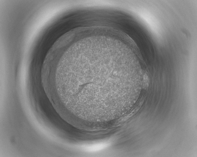 X0000115530765200912181527