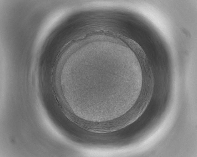 X0000115530766200912181527