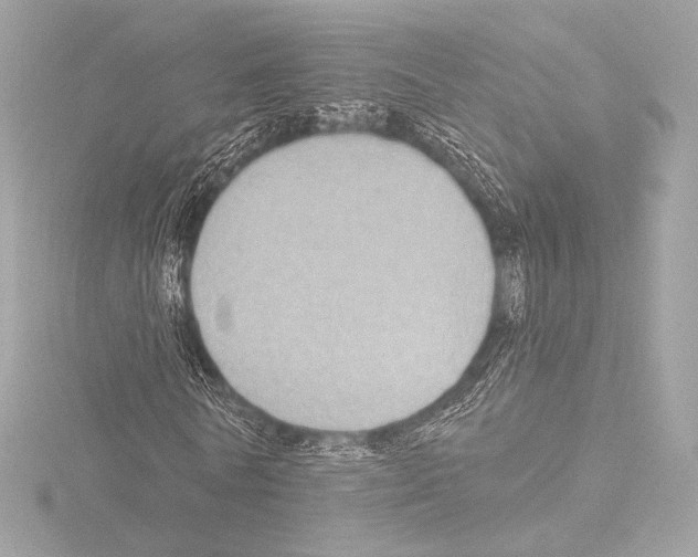 X0000115530770200912181526