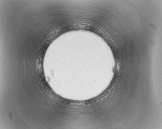 X0000115530771200912181526