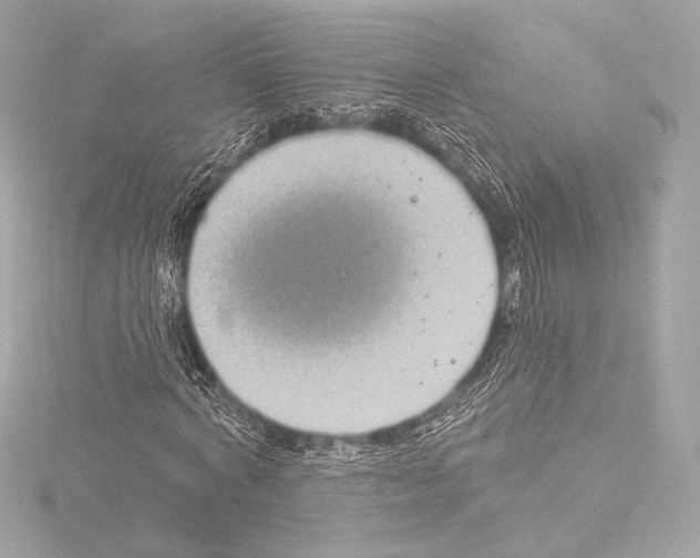 X0000115530772200912181526