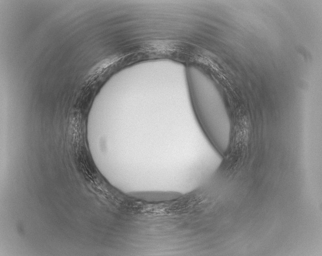 X0000115530773200912181526