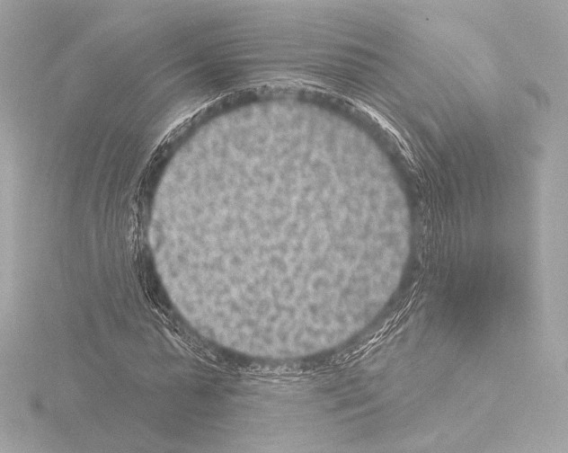 X0000115530775200912181526