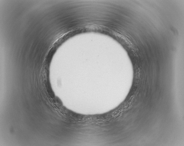 X0000115530776200912181526