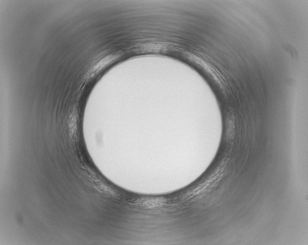 X0000115530778200912181526