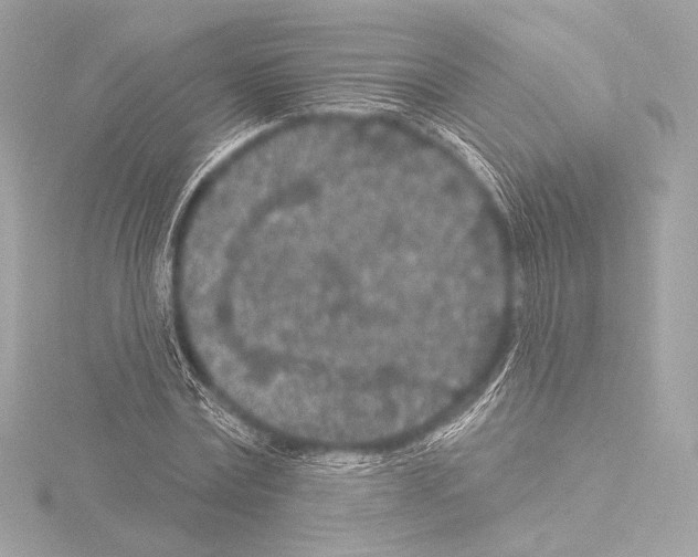 X0000115530779200912181526