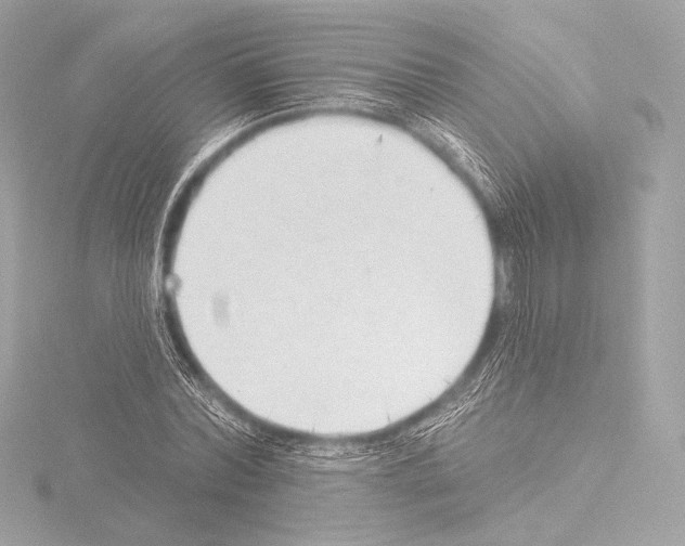 X0000115530780200912181526