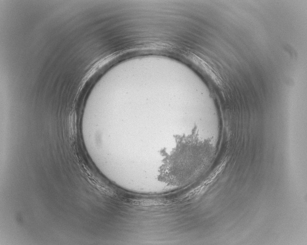 X0000115530781200912181526