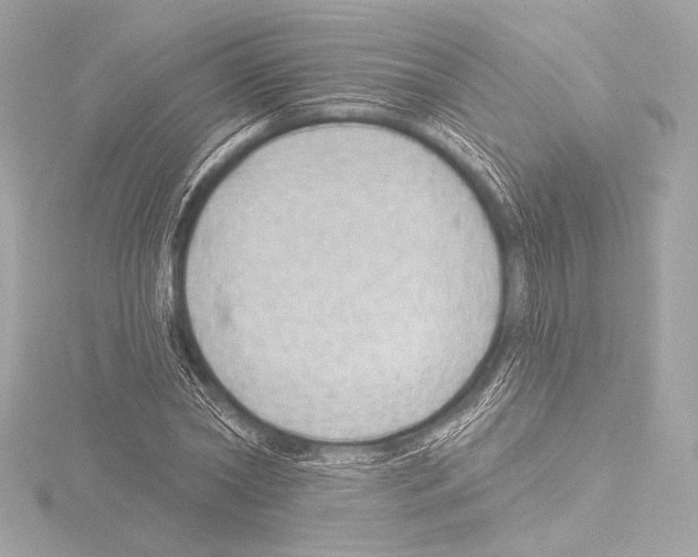 X0000115530782200912181526