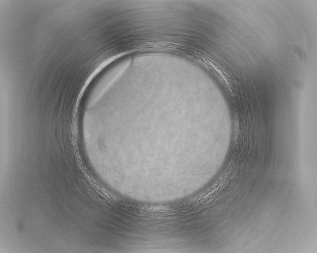 X0000115530784200912181526