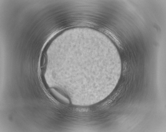 X0000115530788200912181526