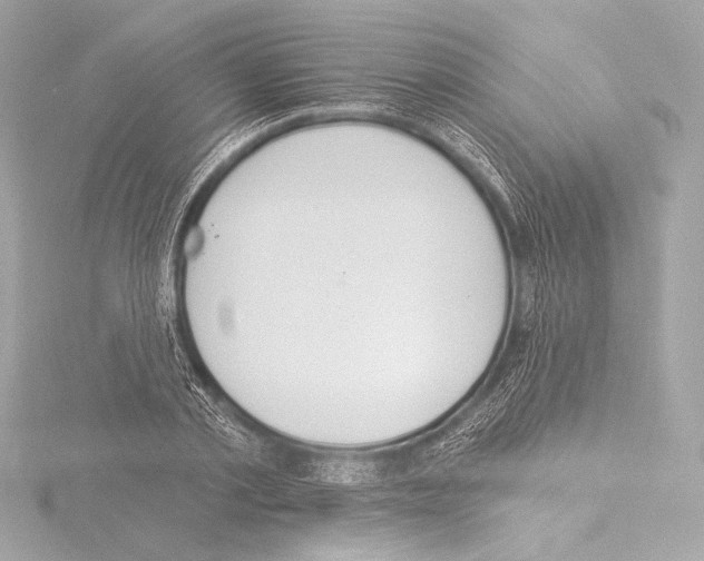 X0000115530789200912181526