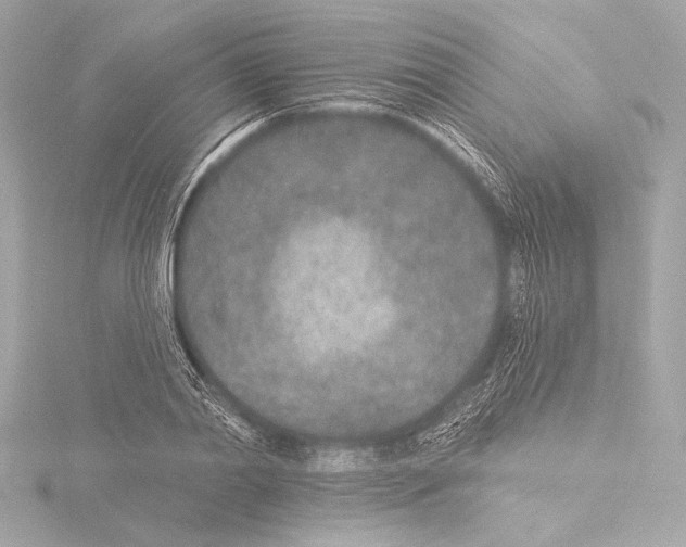 X0000115530790200912181526