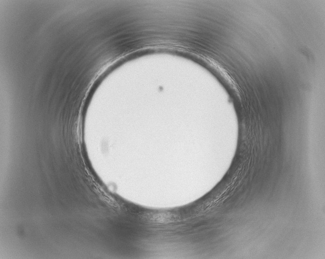 X0000115530791200912181526