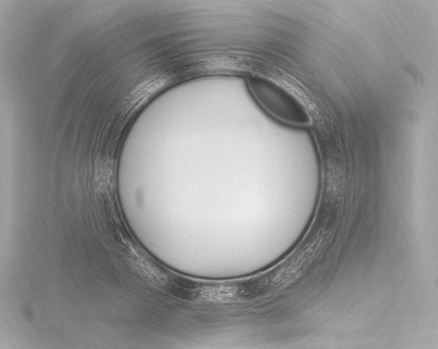 X0000115530793200912181526