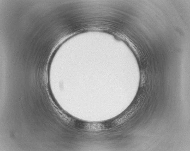 X0000115530795200912181526