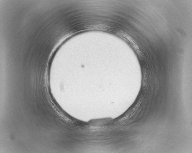 X0000115530796200912181526