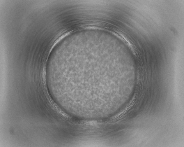 X0000115530798200912181526