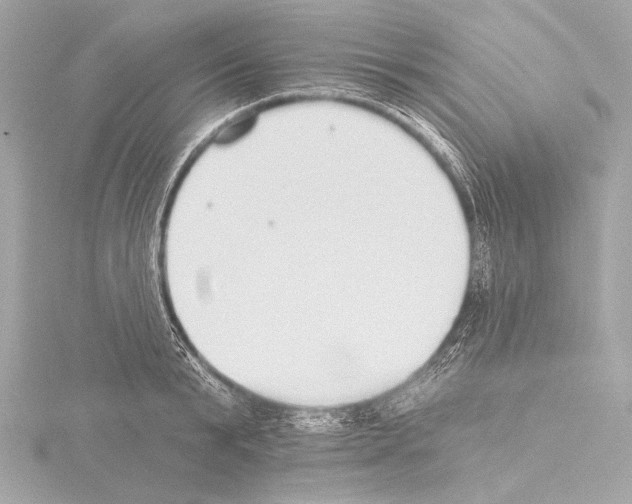 X0000115530799200912181526