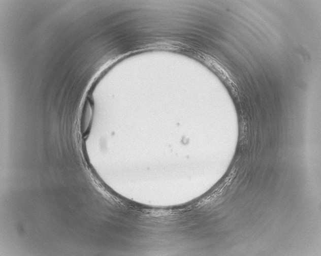 X0000115530800200912181526