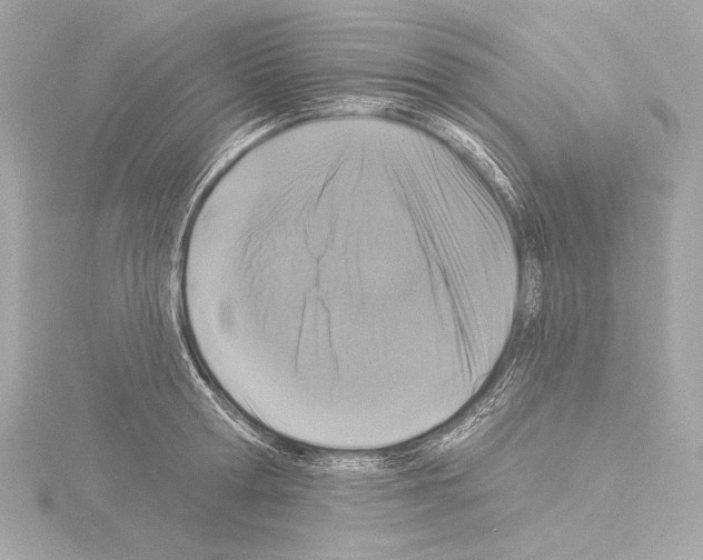 X0000115530802200912181526