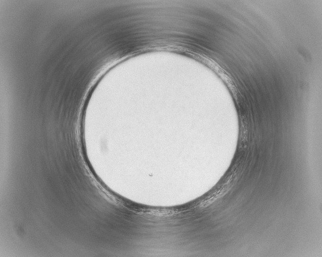 X0000115530803200912181526