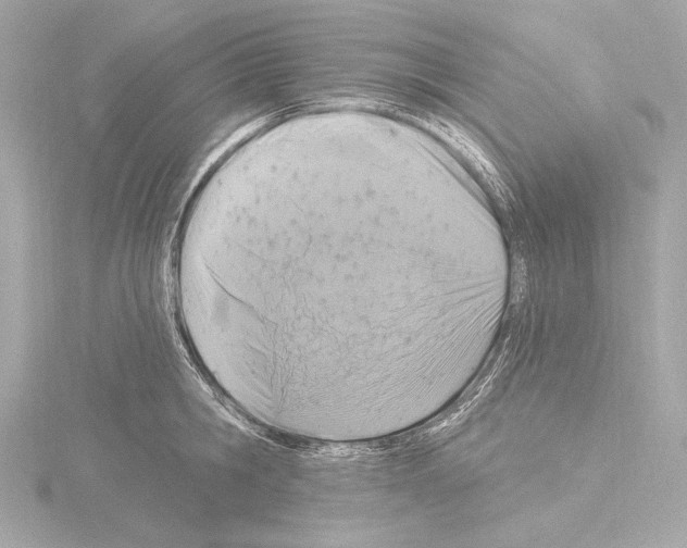 X0000115530806200912181526