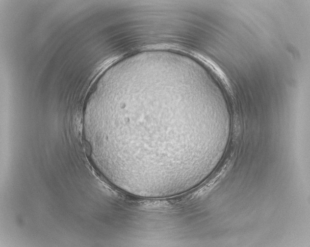 X0000115530809200912181526