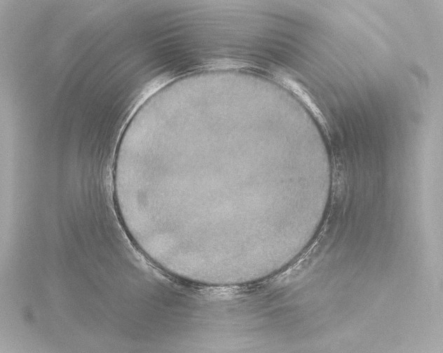 X0000115530810200912181526