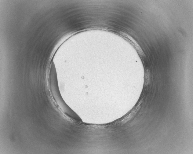 X0000115530812200912181525