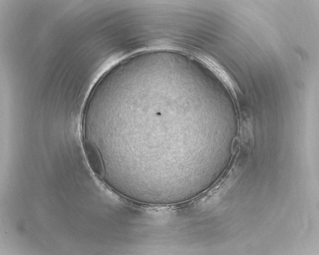 X0000115530813200912181525