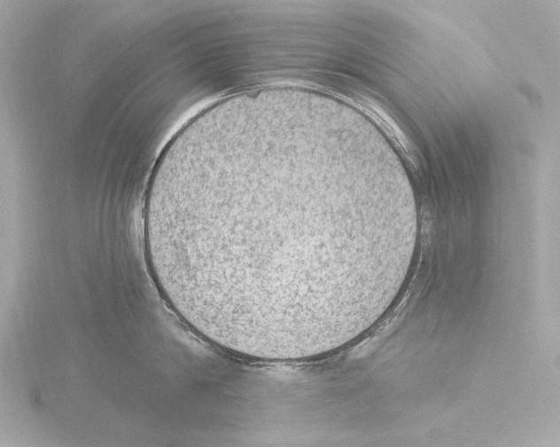 X0000115530814200912181525