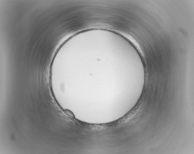 X0000115530815200912181525