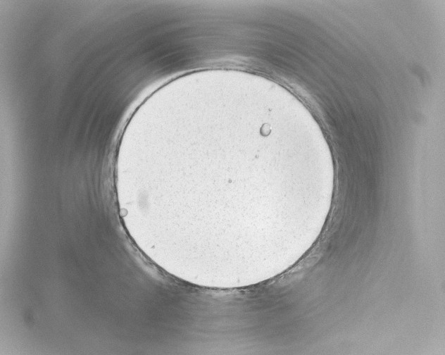 X0000115530816200912181525