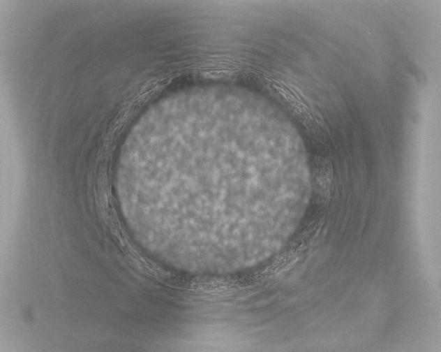 X0000115530817200912181525