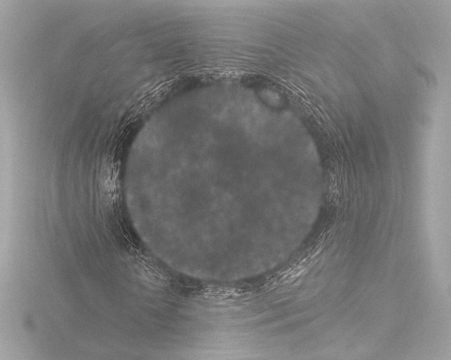 X0000115530818200912181525