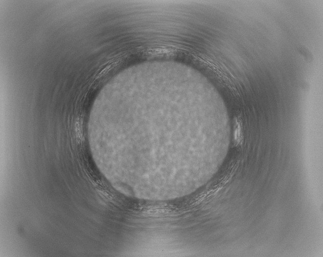 X0000115530819200912181525