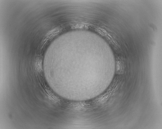 X0000115530820200912181525