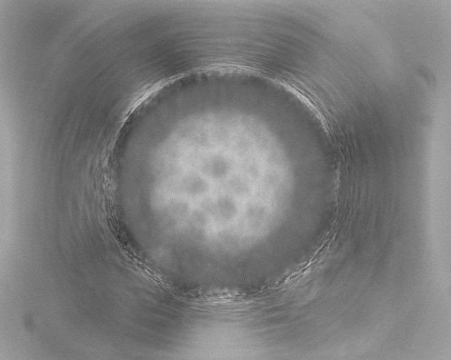 X0000115530823200912181525