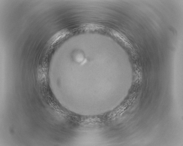 X0000115530824200912181525