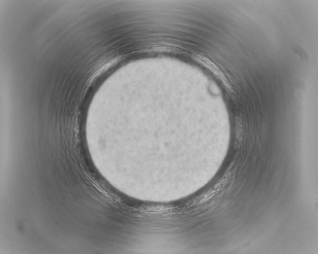 X0000115530826200912181525